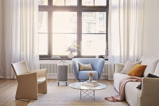 Choosing the correct air purifier
