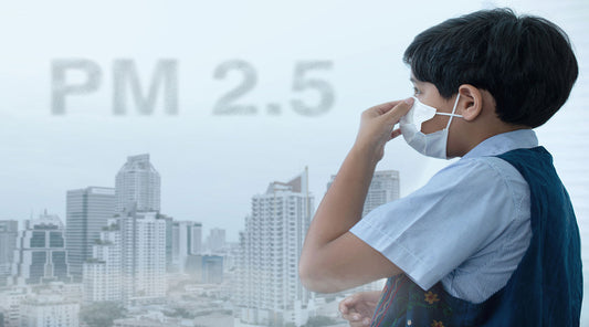 PM2.5 Air Pollution, Particles & Air Purifiers.