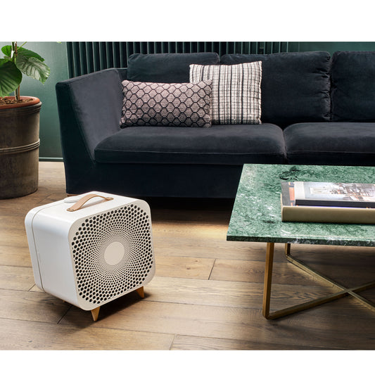 Blue Pure Fan in Living Room