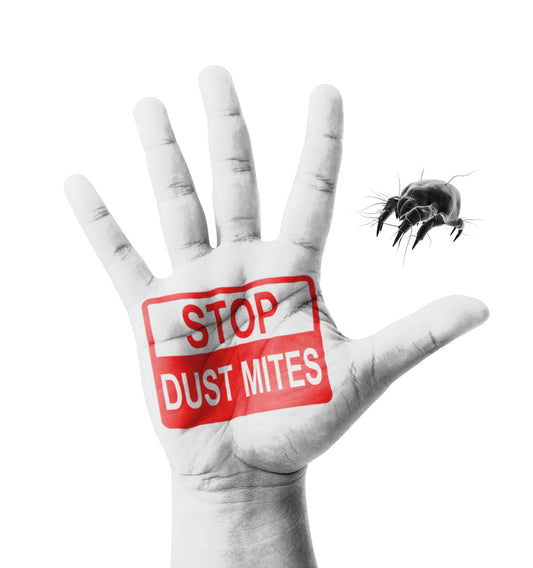 Stop Dust Mites