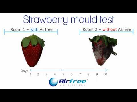 Airfree Fit Air Purifier