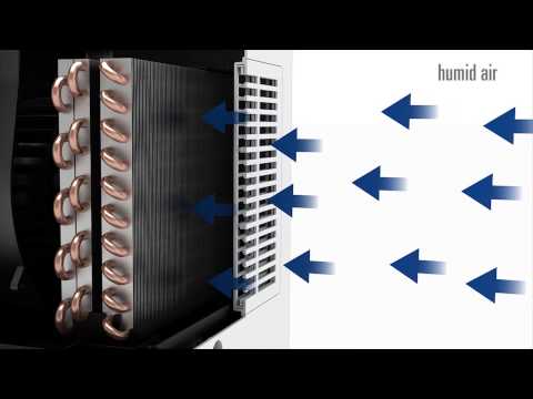 Stadler Form Albert Home Dehumidifier