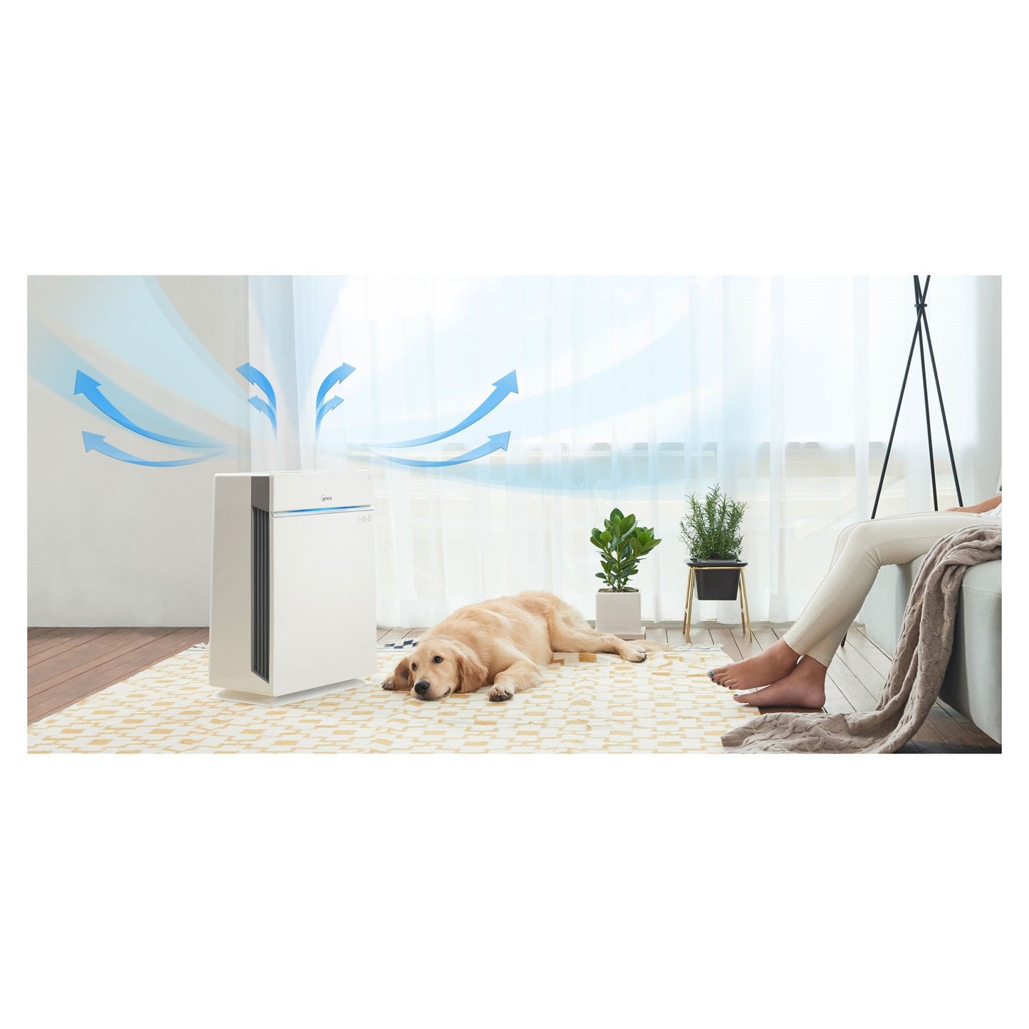 Winix Zero Pro Air Purifier
