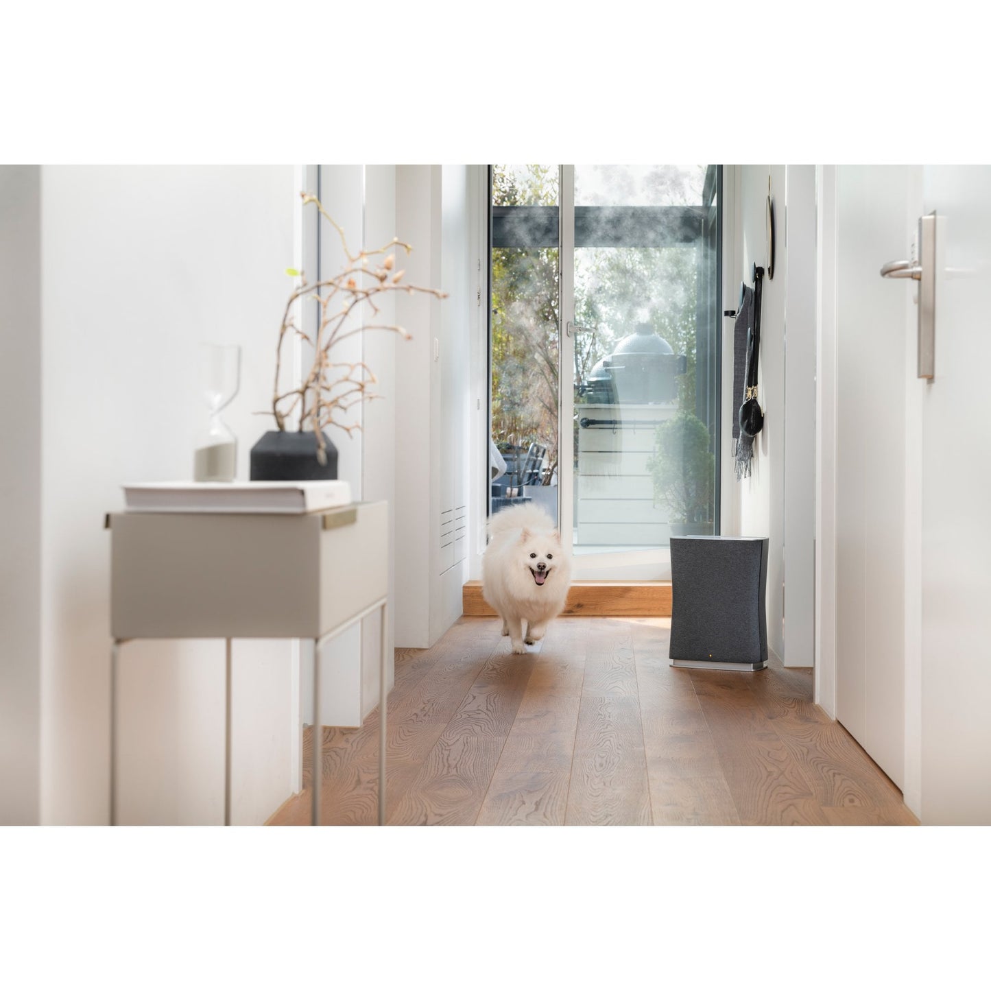 Roger Little Air Purifier