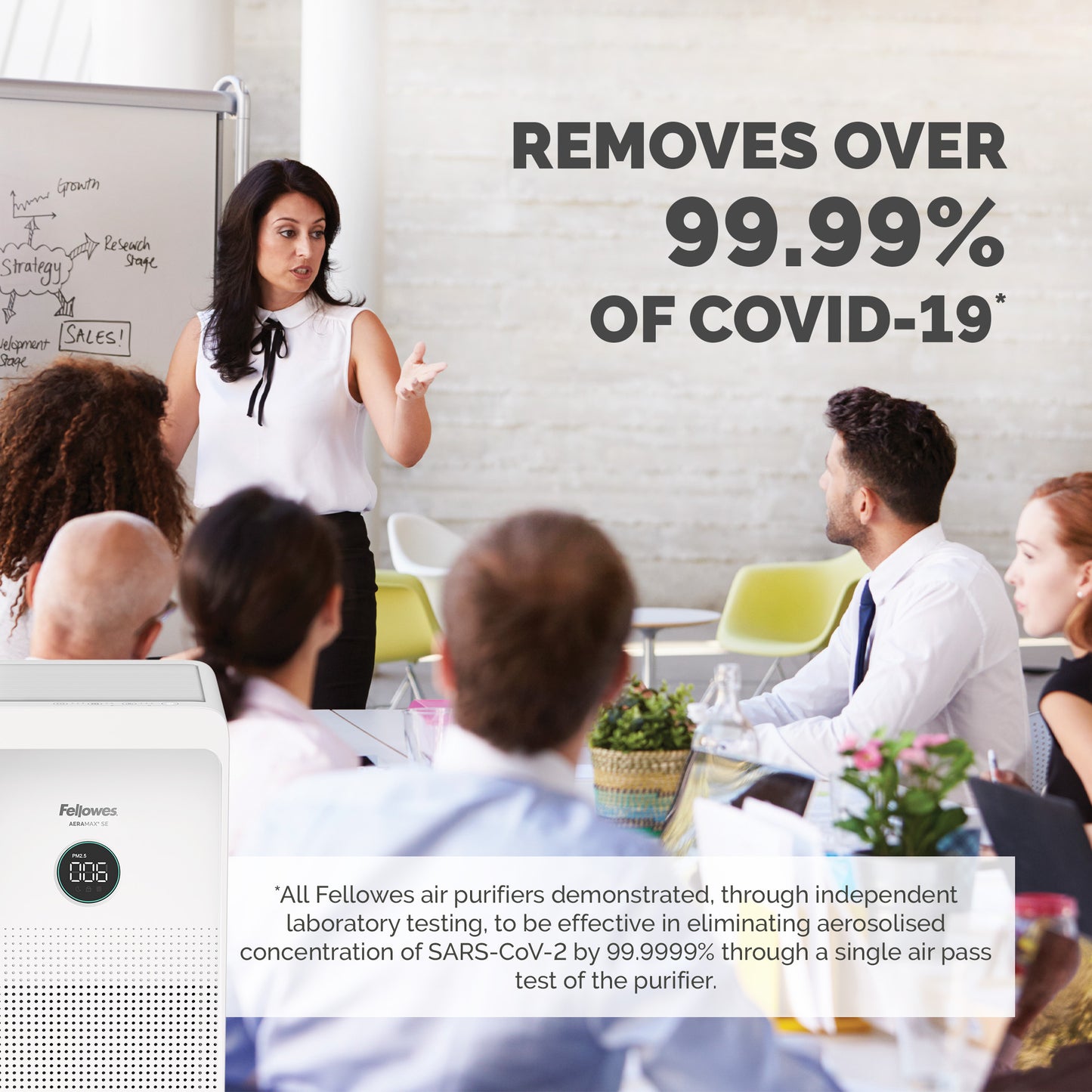 Fellowes Aeramax SE Air Purifier