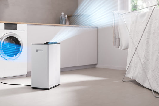 Air Purifiers vs Dehumidifiers: Which Do You Actually Need?