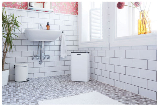 Dehumidifier FAQs: Everything you need to know before you buy. Breathing Space