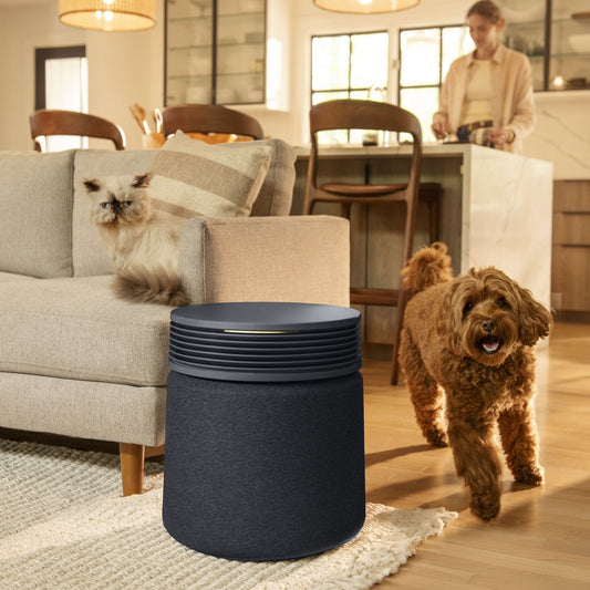 Best Air Purifier for Pet Allergies UK (2026)