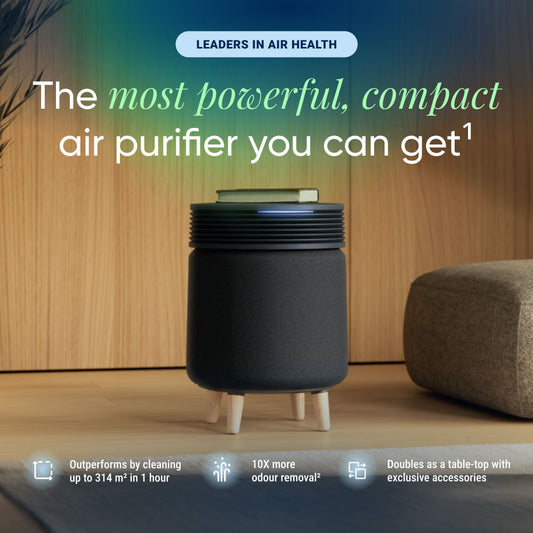 Blueair Signature Midnight air purifier in midnight black with the wooden legs, styled as a side table in a modern living room