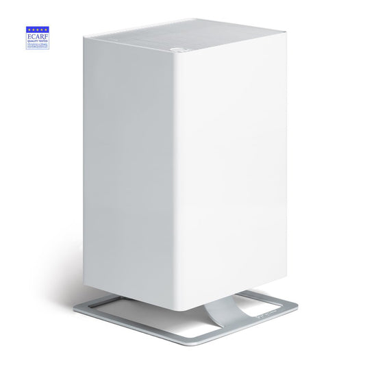 Viktor' Room Air Purifier With Combined Fragrance Dispenser