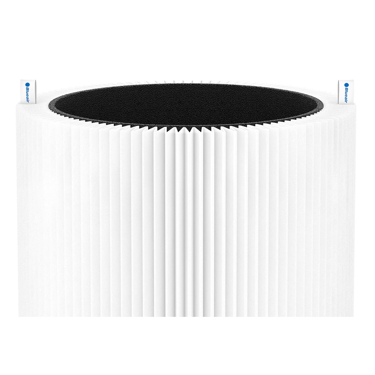 Blue Pure 411 & 3210 Replacement Combination Filter