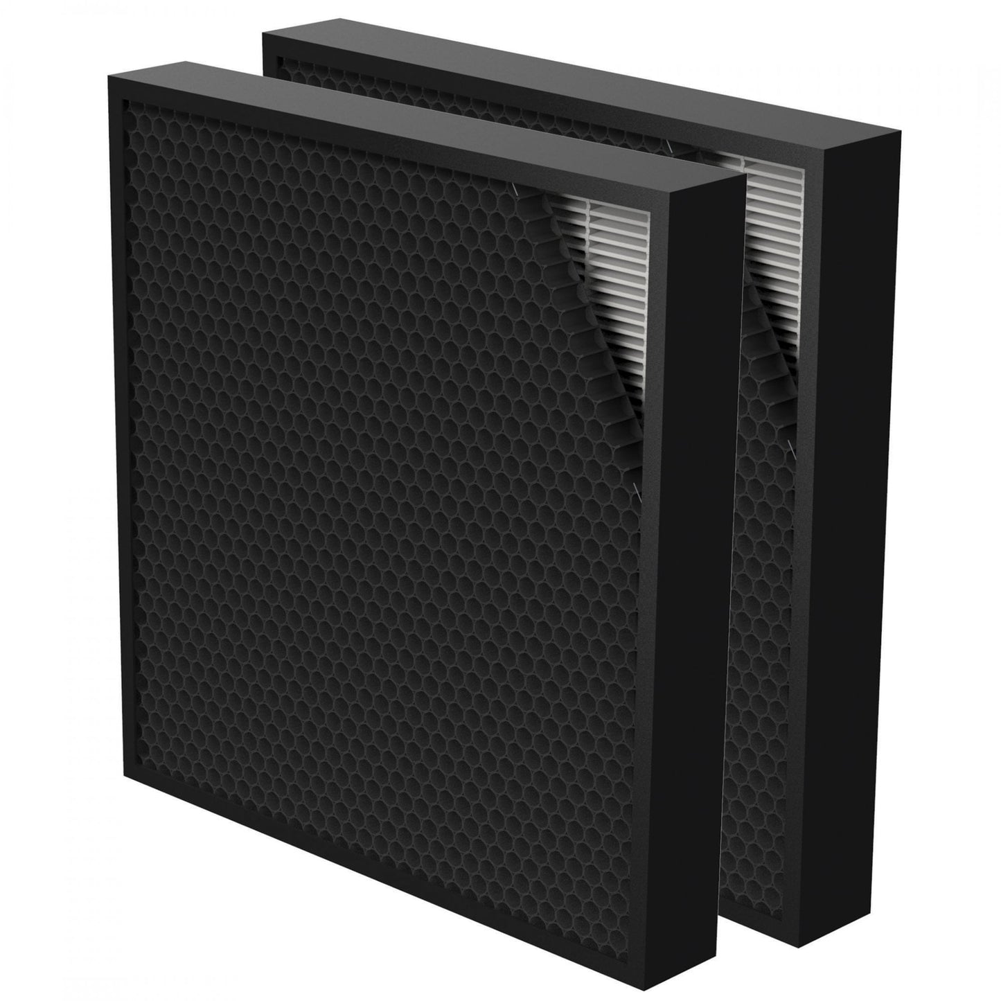 Replacement Hybrid Filter for Aeramax Pro AM3/AM4 (Twin Pack)