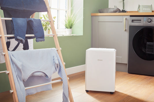 Dimplex EverDri 10L Dehumidifier with Humidistat and Timer