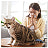 Air Purifiers for Pet Allergies